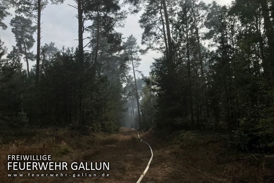 2018 - Waldbrand in der Lieberoser Heide